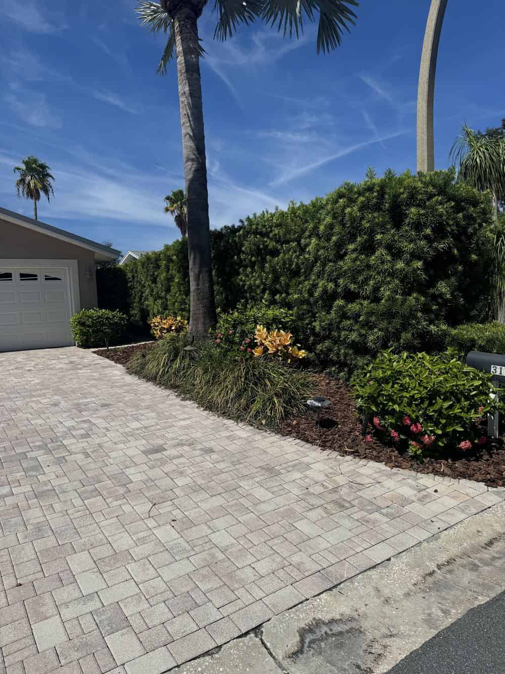 Tree and Shrub Services image