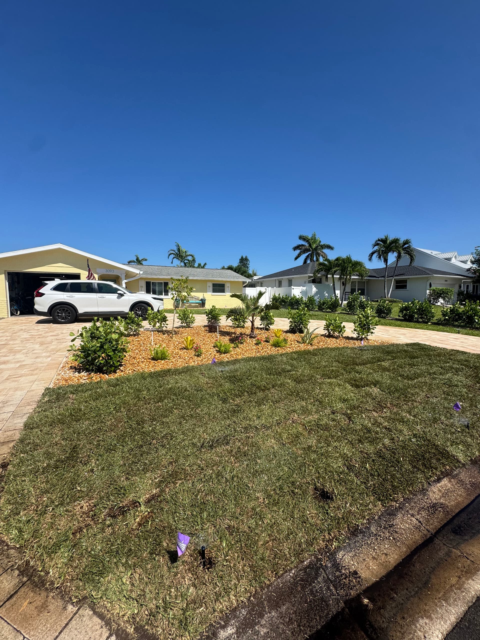 Gallery photos for New Planting Bed, Sod, and Clusia Privacy Hedges Upgrade Curb Appeal: Image #1