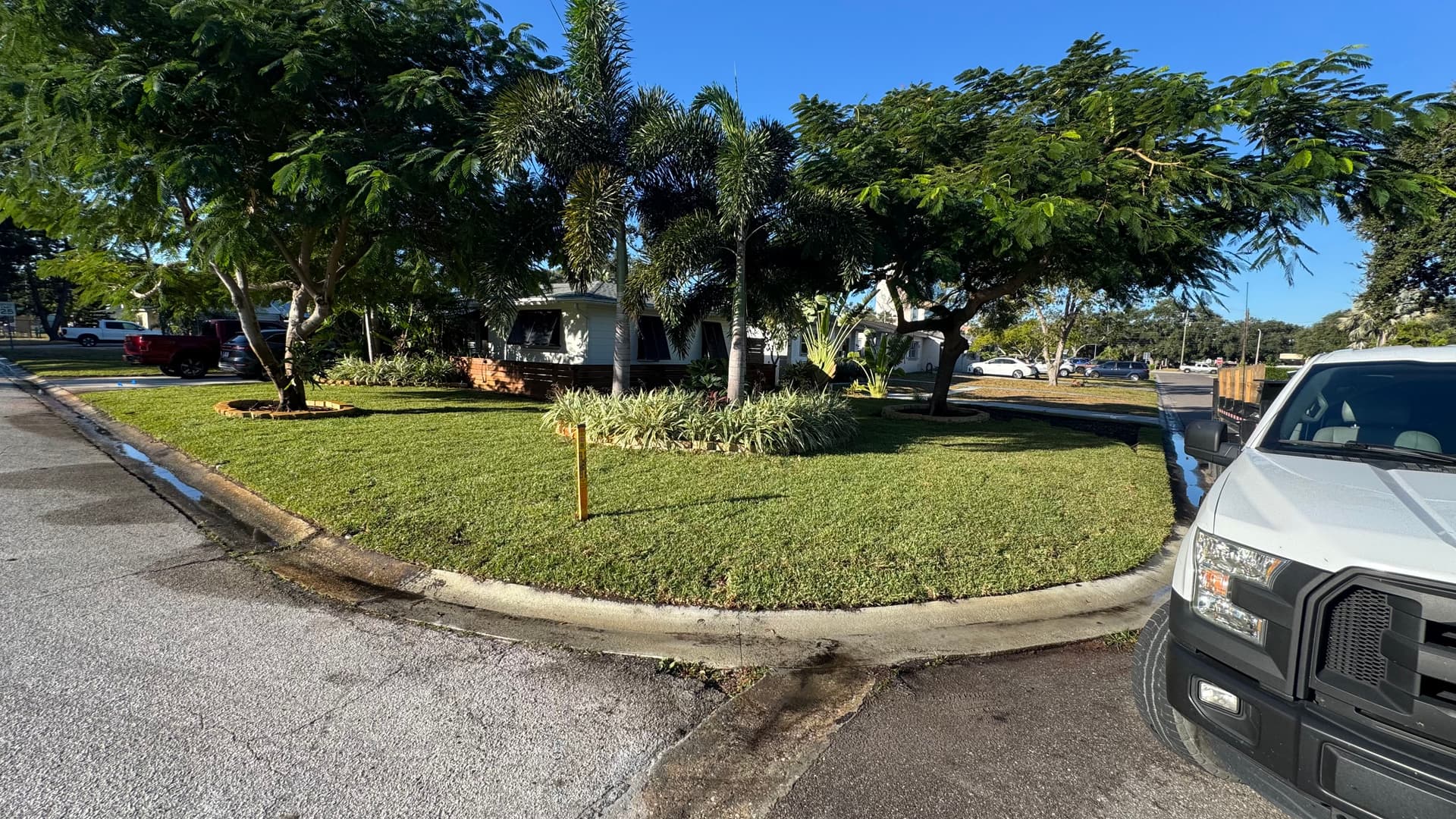 Gallery photos for Full Front Yard Sod Install and Planting Bed Upgrade: Image #2