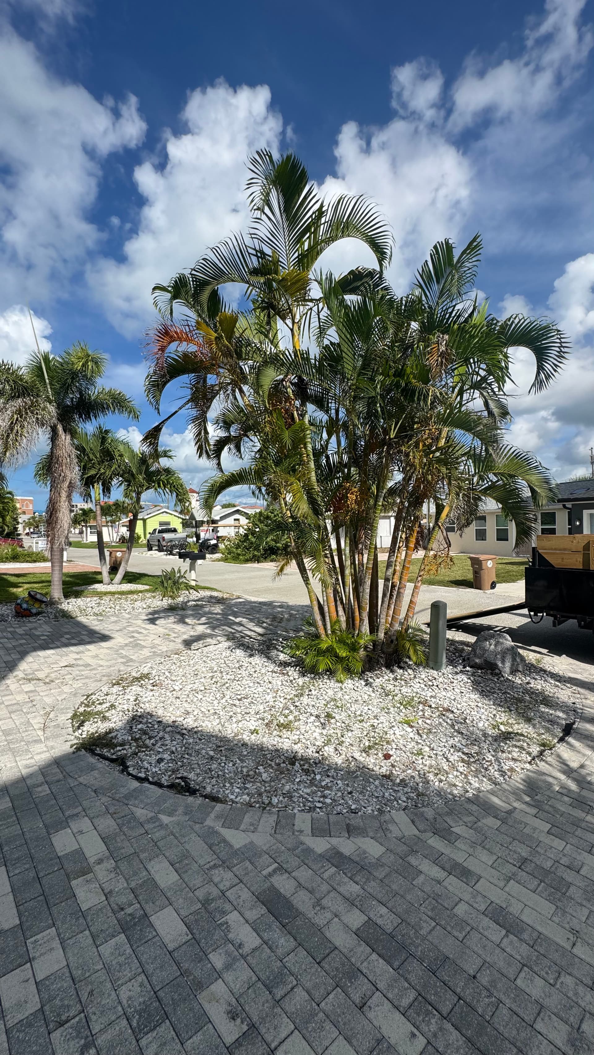 Gallery photos for Fresh Stone in Palm Tree Beds Makes a Big Difference: Image #3
