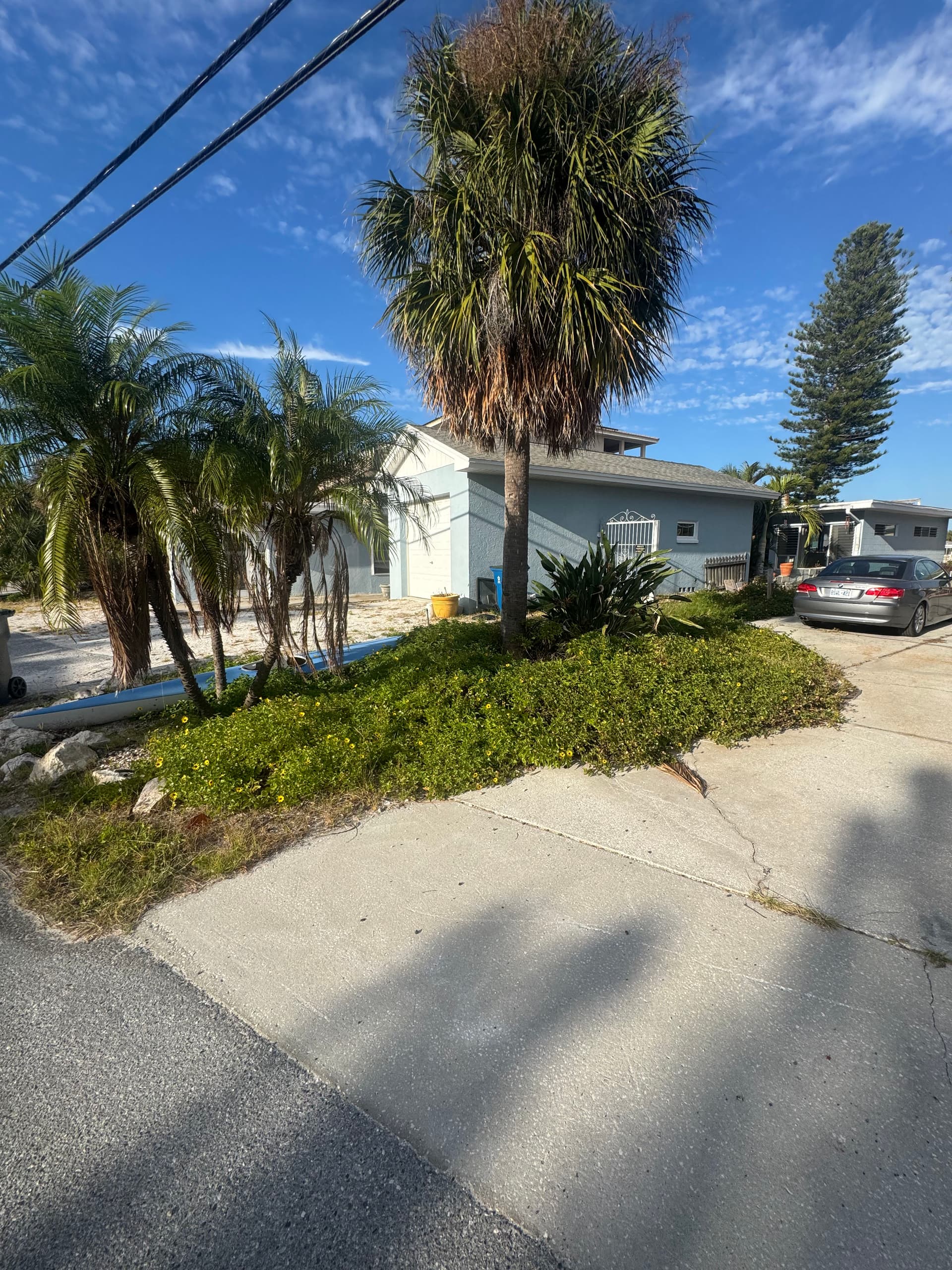 Gallery photos for Front Yard Rock and Mulch Install That Actually Adds Privacy: Image #4
