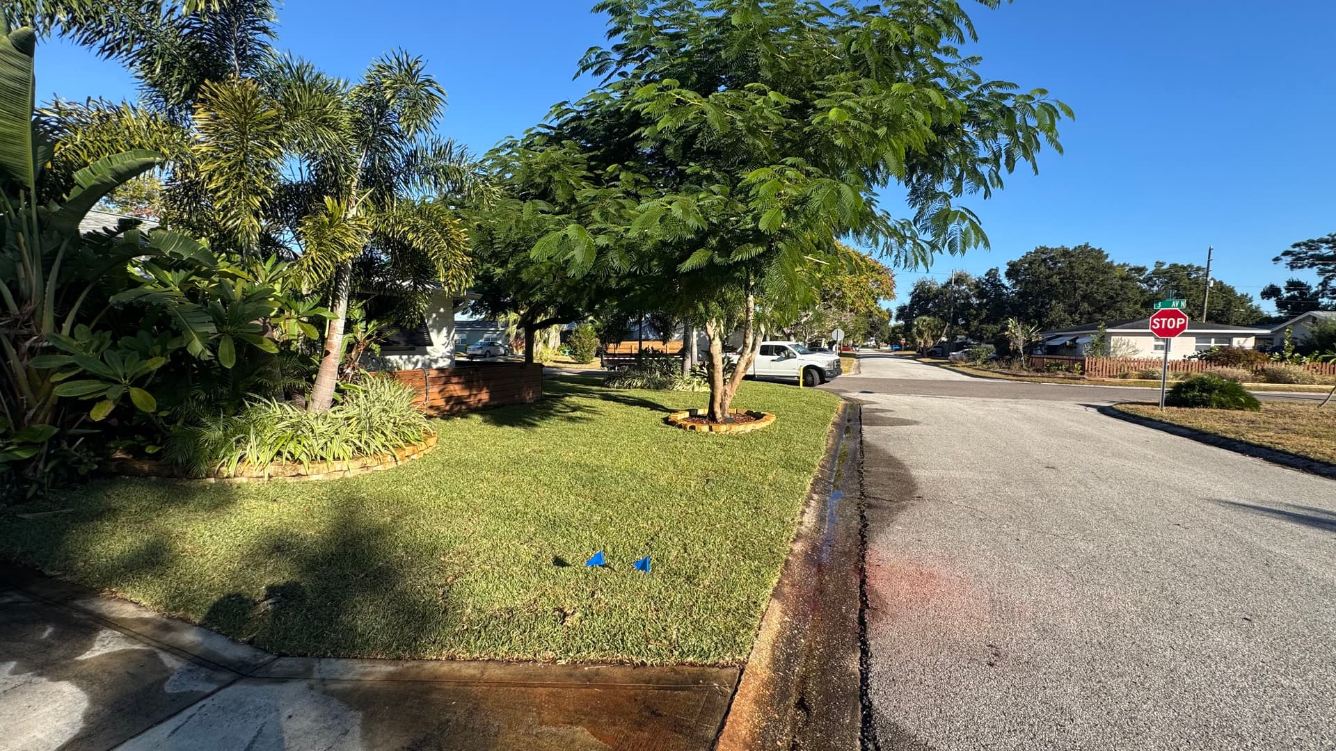 Gallery photos for Full Front Yard Sod Install and Planting Bed Upgrade: Image #1