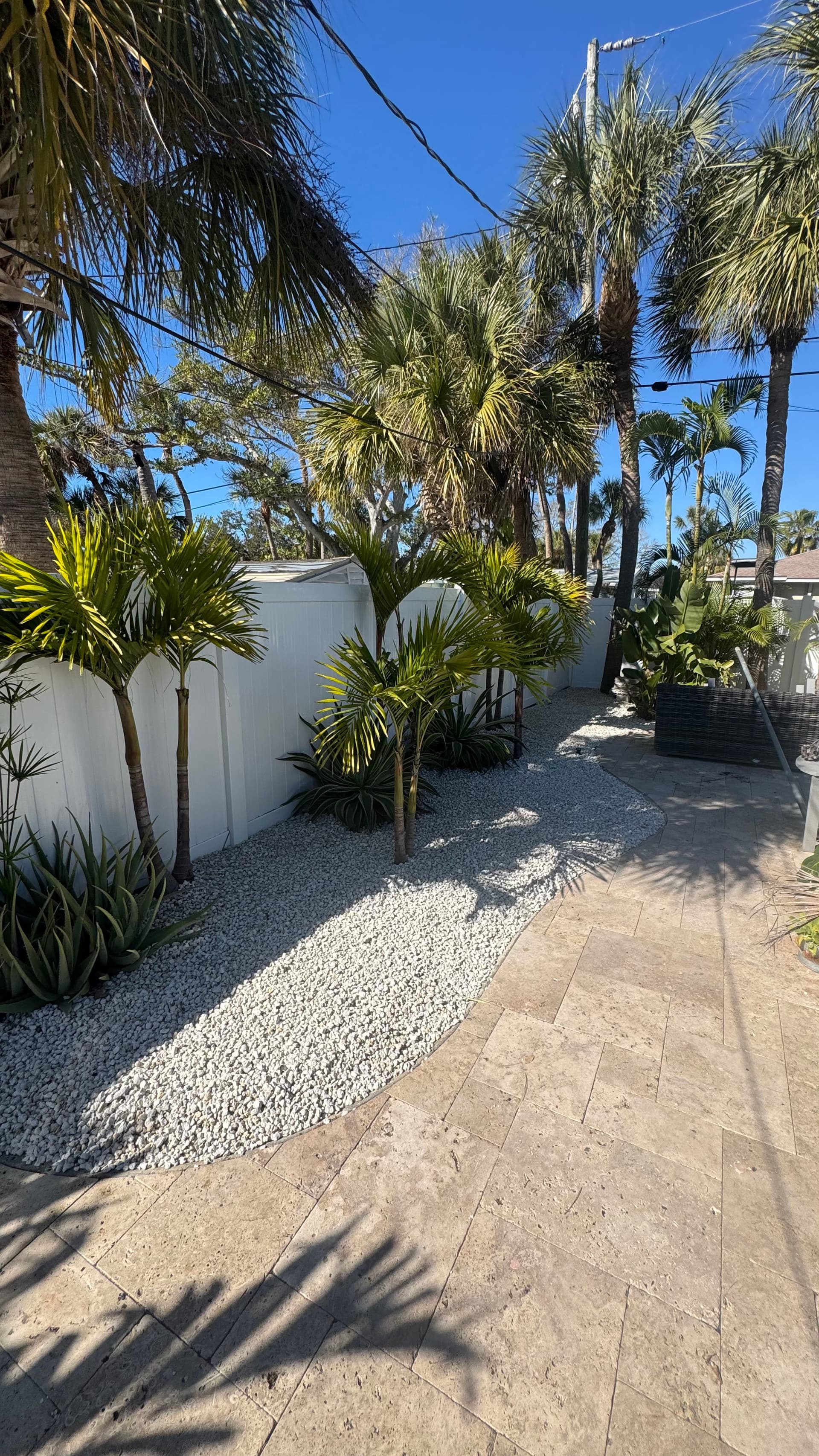 Gallery photos for Clusia Hedge, Paver Border, and Limestone Beds Done Right: Image #1
