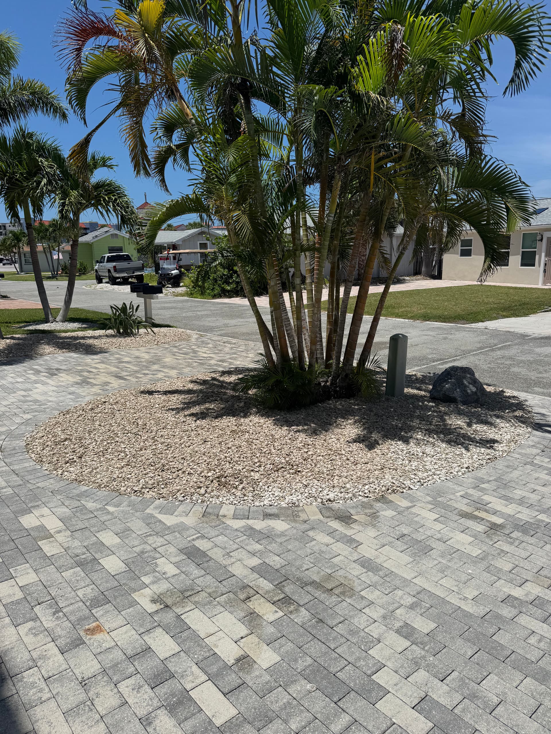 Fresh Stone in Palm Tree Beds Makes a Big Difference image