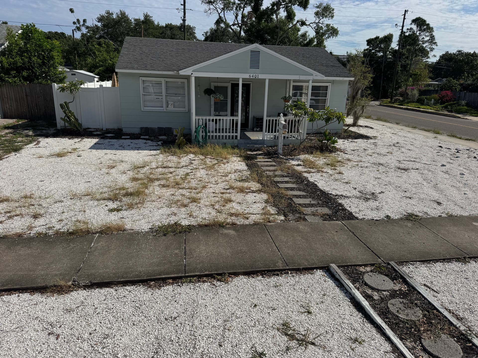 Gallery photos for Front Yard Upgrade with Clusia Hedge, Palms, and White Rock: Image #2