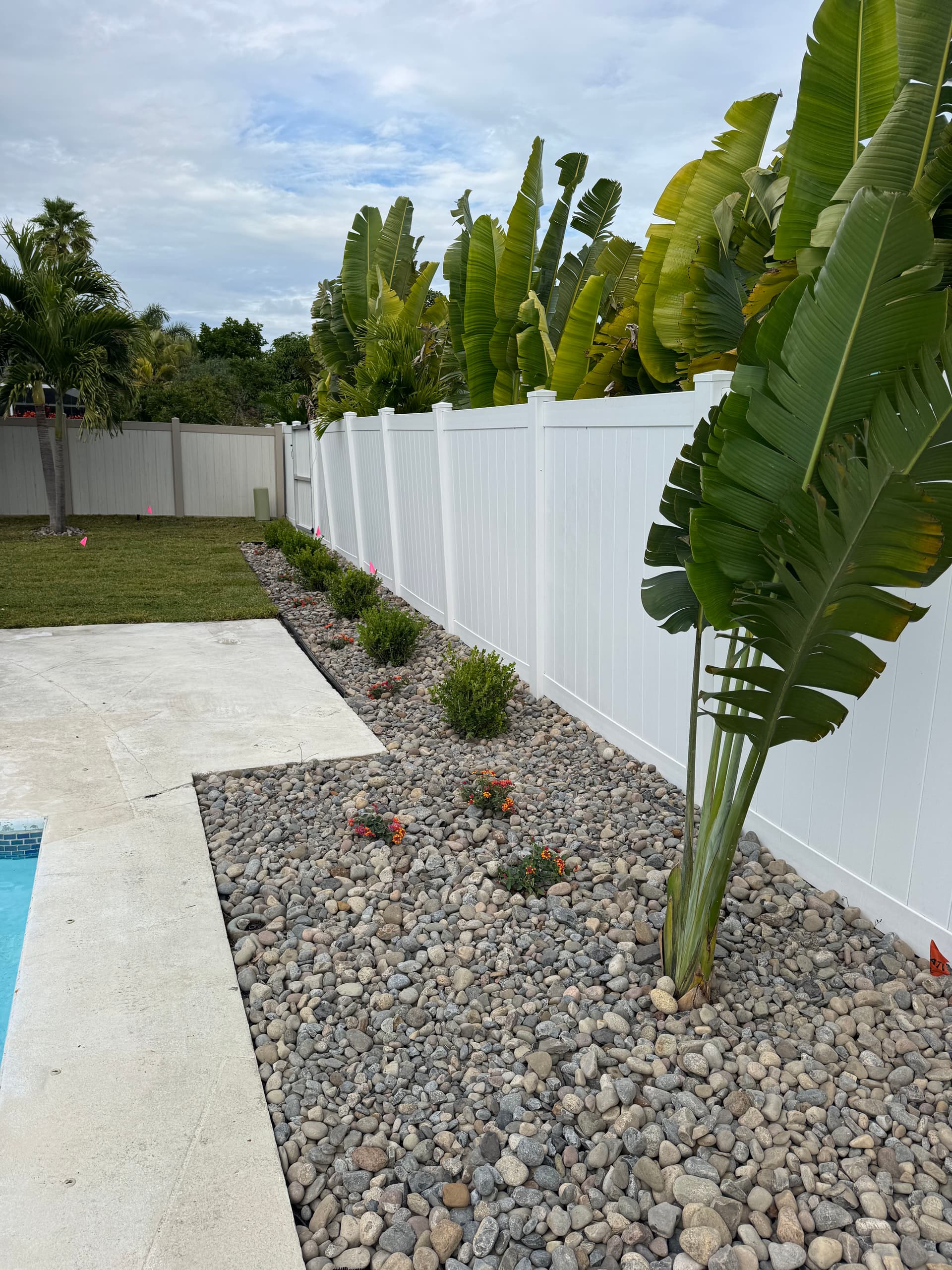 Backyard Sod Installation and Full Landscape Overhaul image