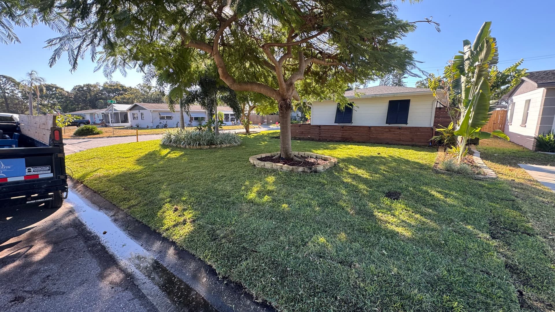 Gallery photos for Full Front Yard Sod Install and Planting Bed Upgrade: Image #3