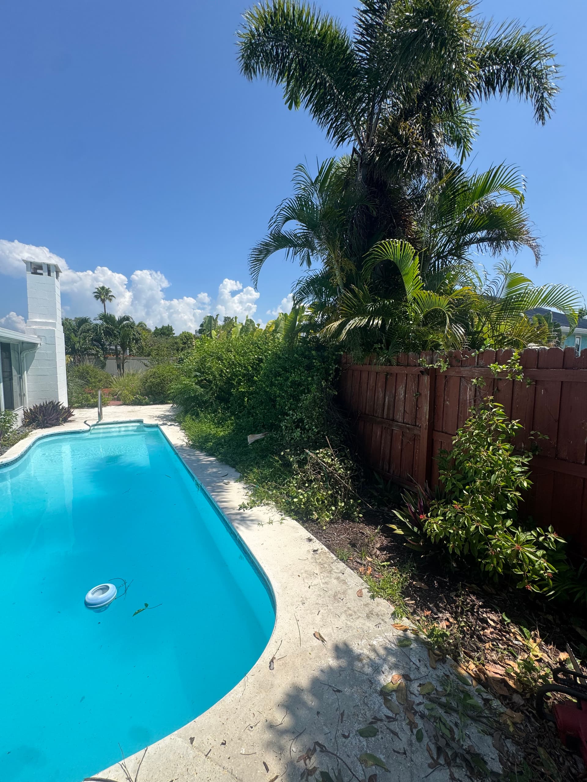 Gallery photos for Backyard Sod Installation and Full Landscape Overhaul: Image #5