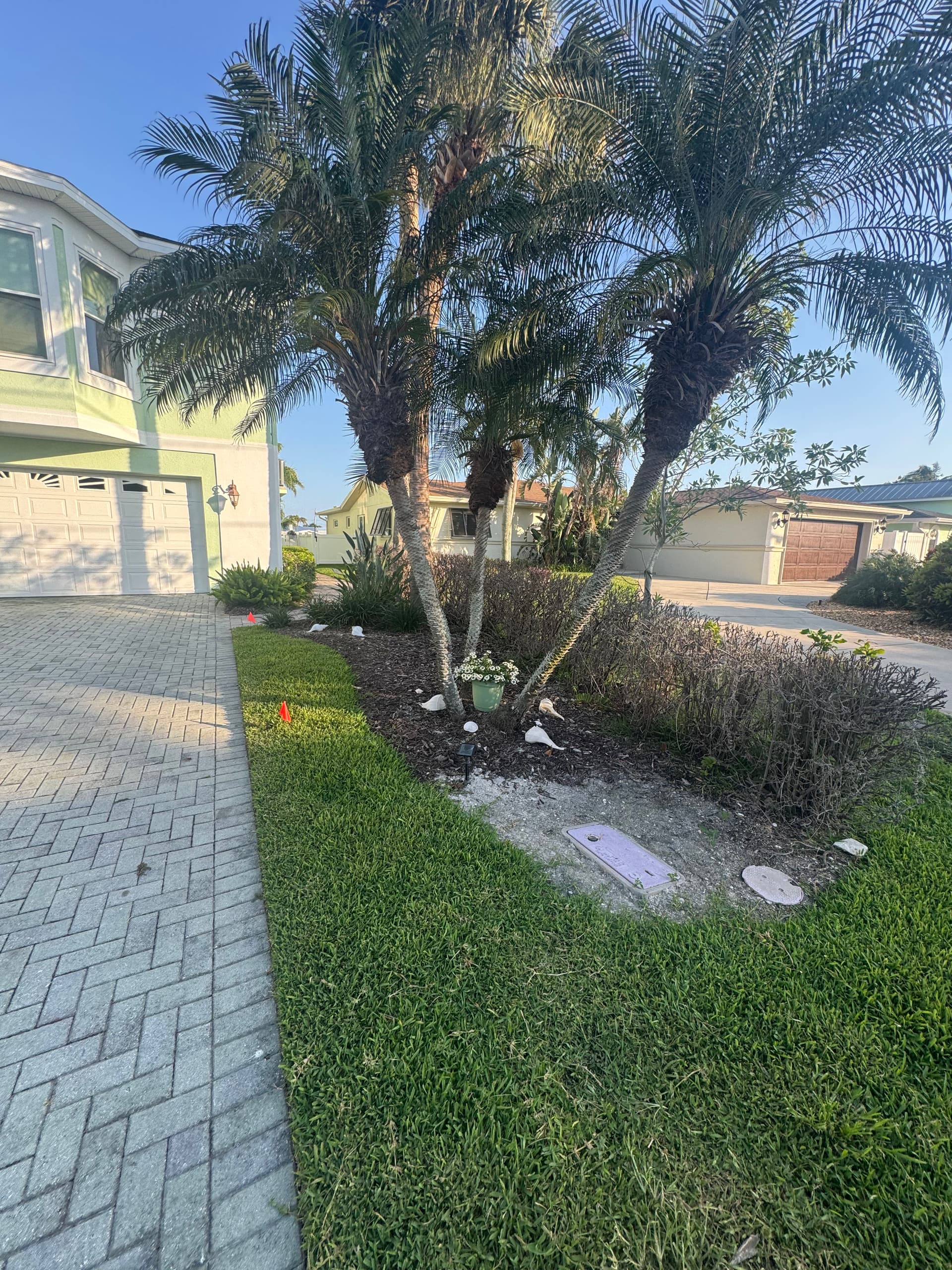 Gallery photos for Full Property Landscape Makeover with New Sod, Plants, and Rock: Image #4