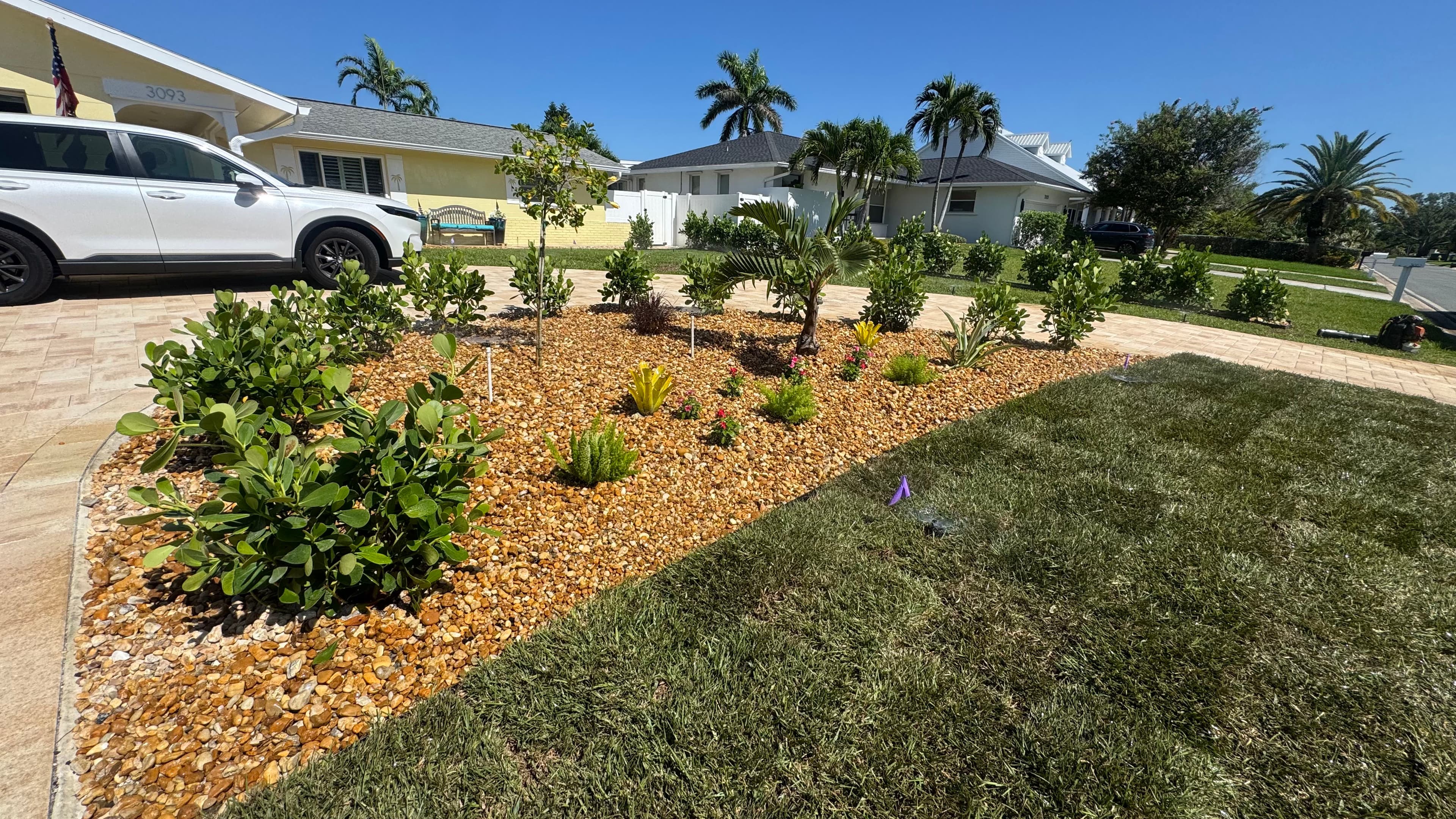 Project New Planting Bed, Sod, and Clusia Privacy Hedges Upgrade Curb Appeal image