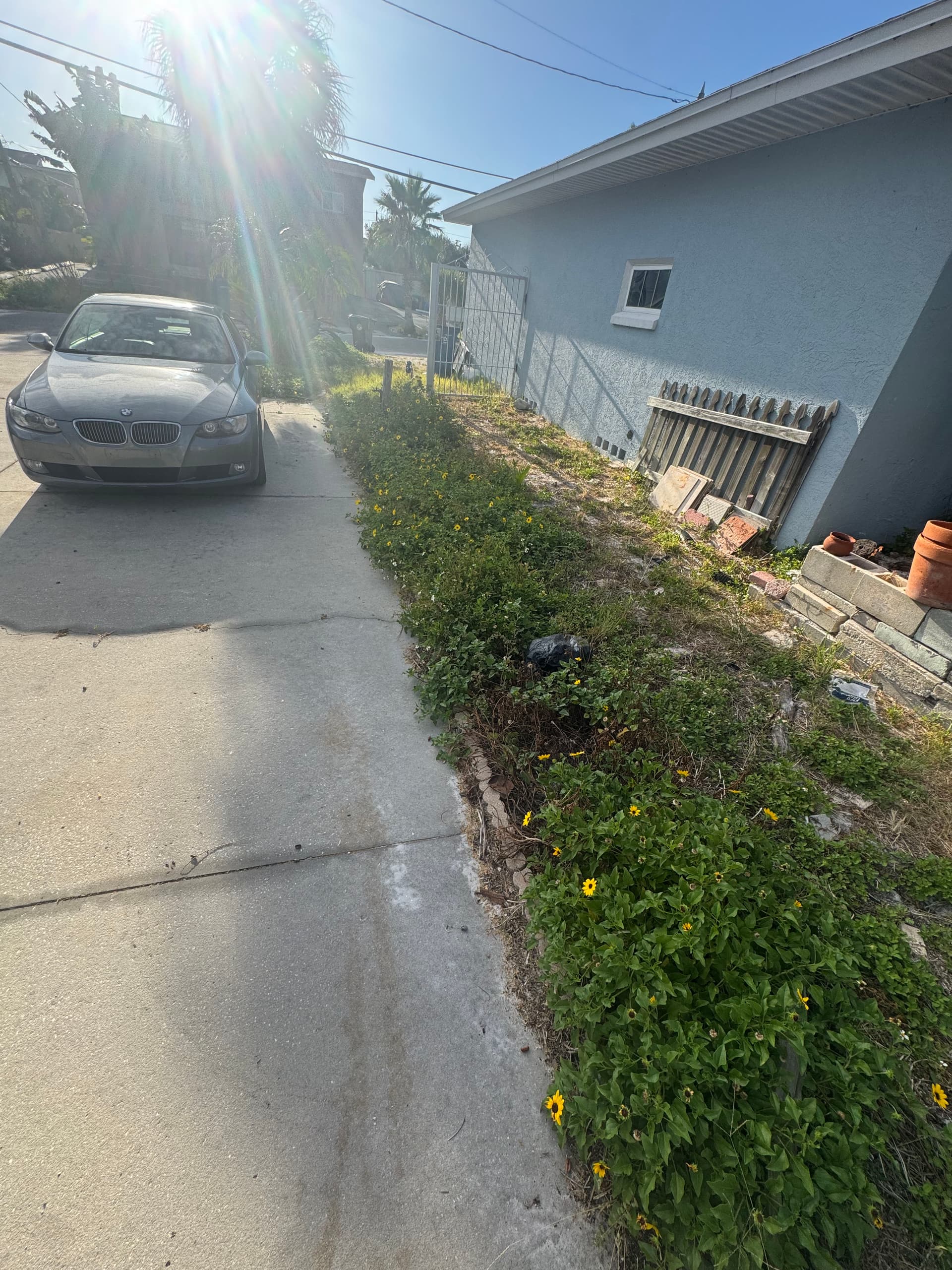 Gallery photos for Front Yard Rock and Mulch Install That Actually Adds Privacy: Image #5