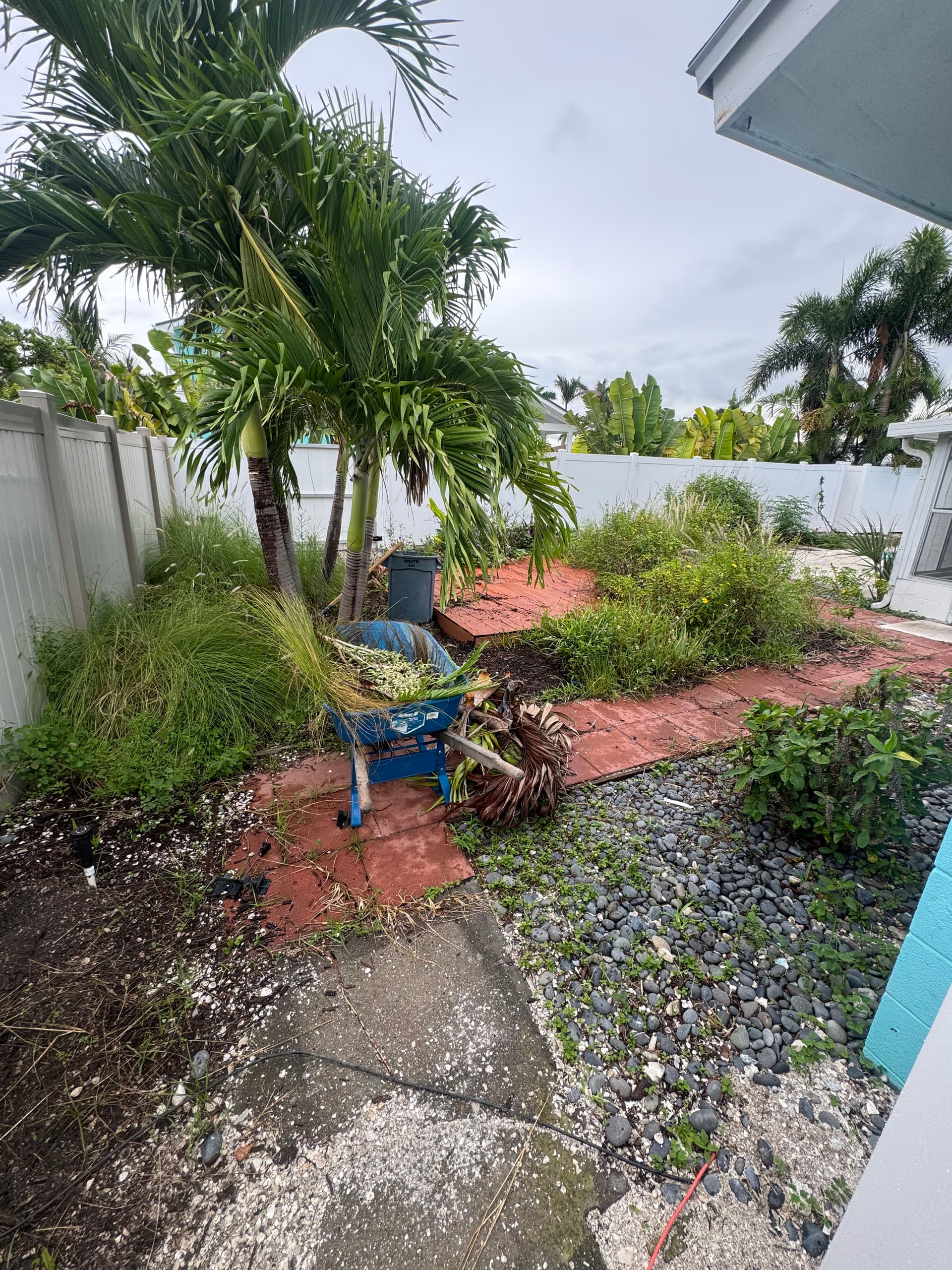 Gallery photos for Backyard Sod Installation and Full Landscape Overhaul: Image #3