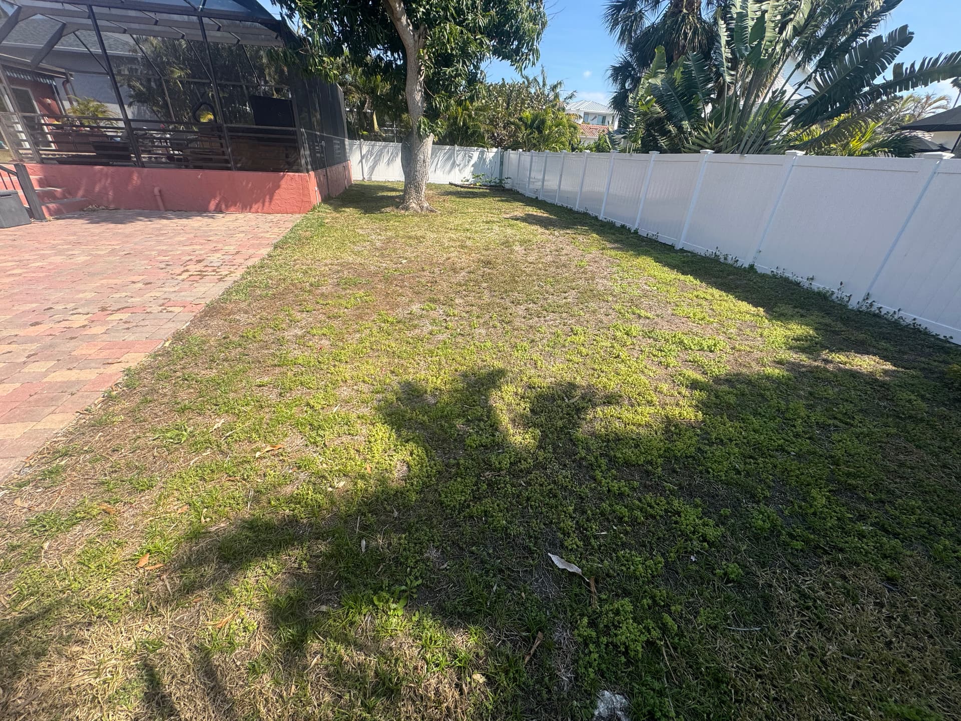 Gallery photos for Patchy Backyard Gets Artificial Turf and a Custom Putting Green: Image #6