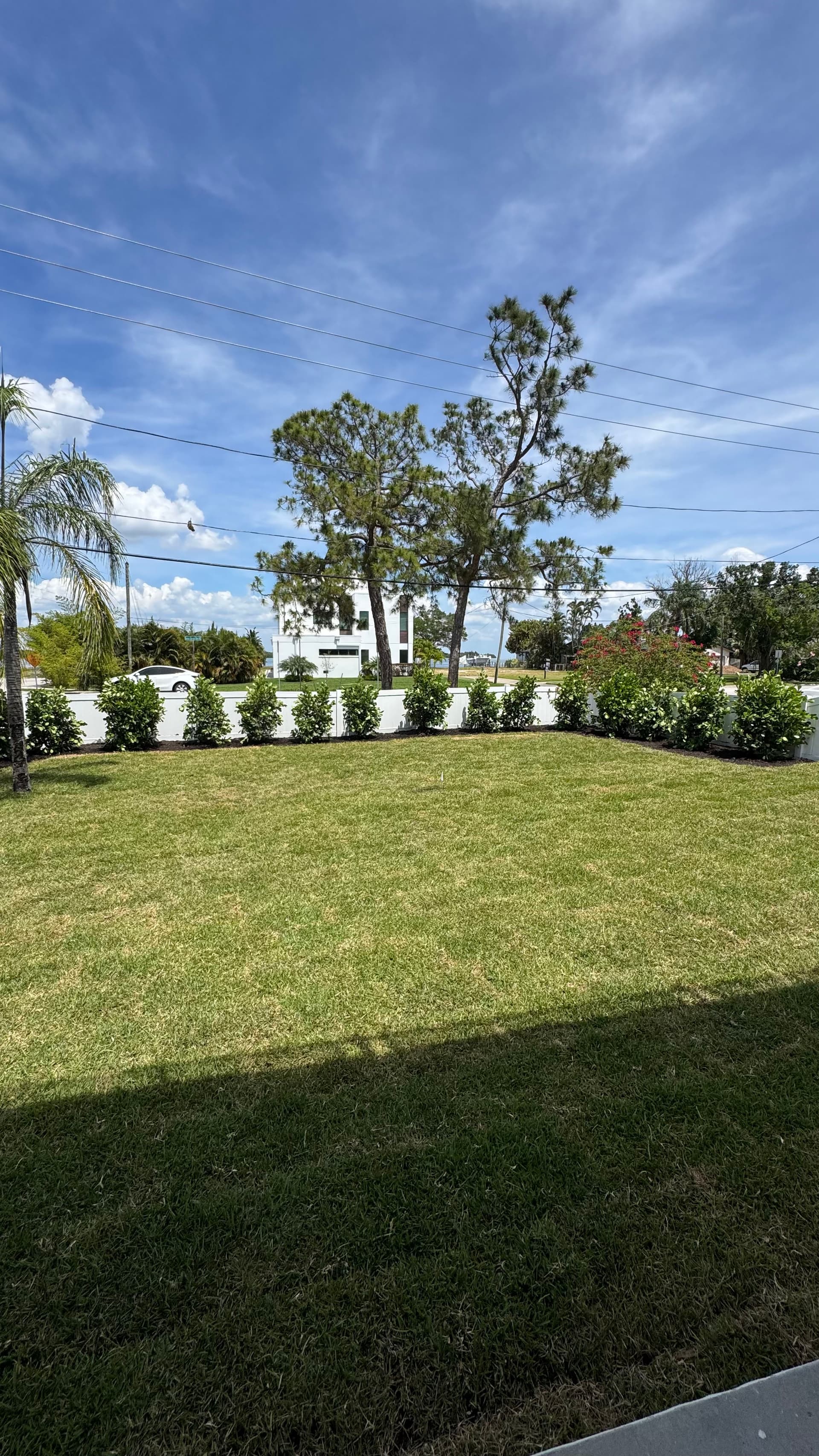 Gallery photos for New Sod and Fresh Plantings Give This Home Serious Curb Appeal: Image #1