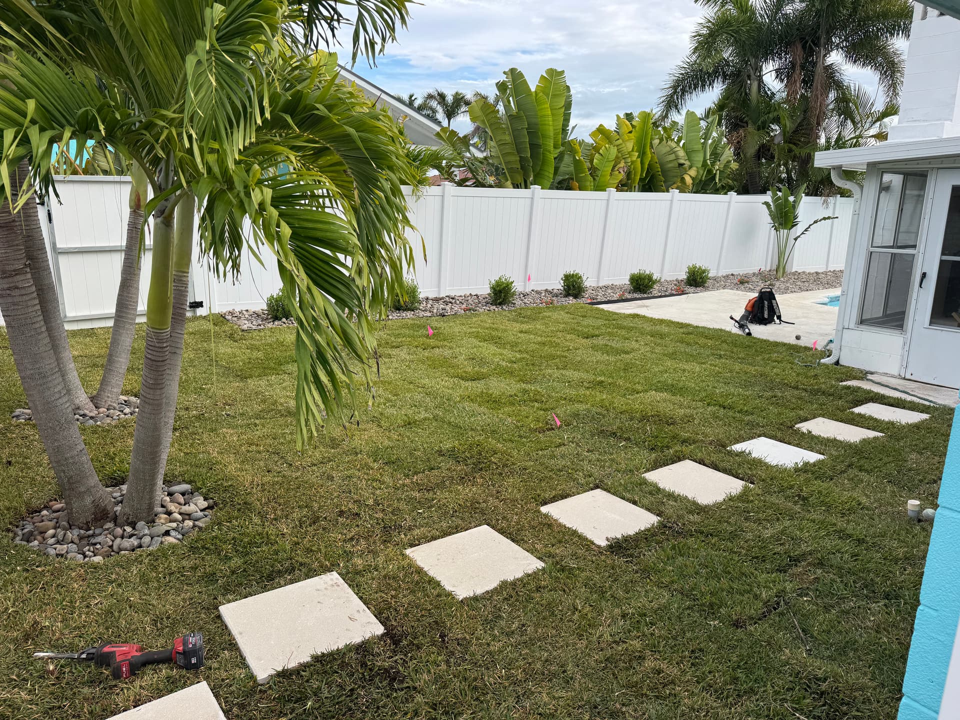 Gallery photos for Backyard Sod Installation and Full Landscape Overhaul: Image #1