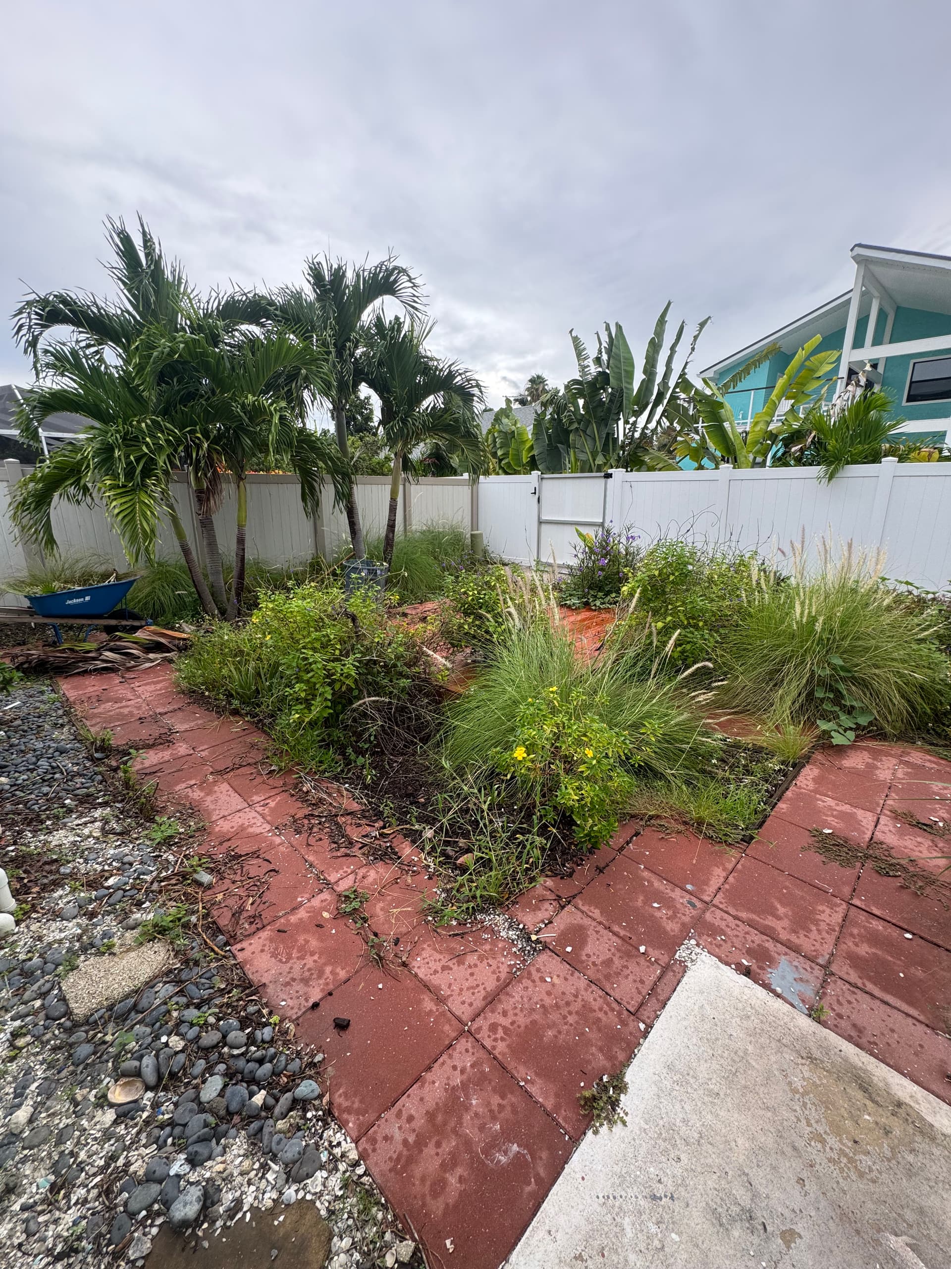 Gallery photos for Backyard Sod Installation and Full Landscape Overhaul: Image #4