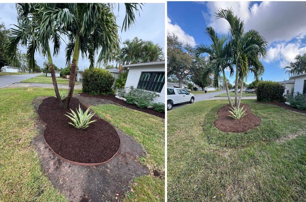 Residential Sod Installation