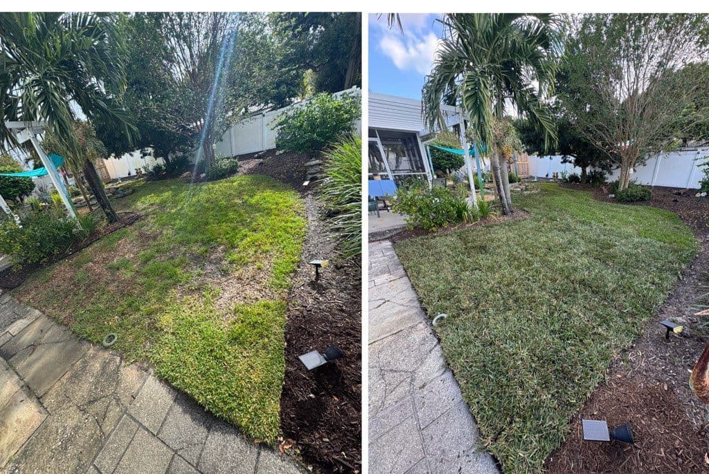 Residential Sod Installation