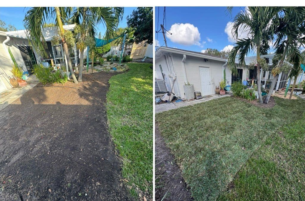 Gallery photos for Residential Sod Installation: Image #2
