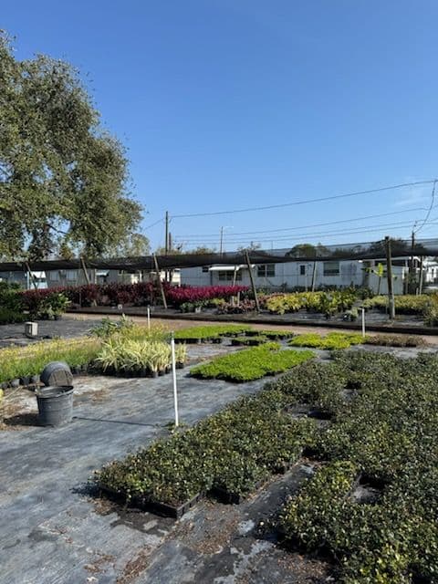 Dedicated Nursery Visit for Quality Plants image