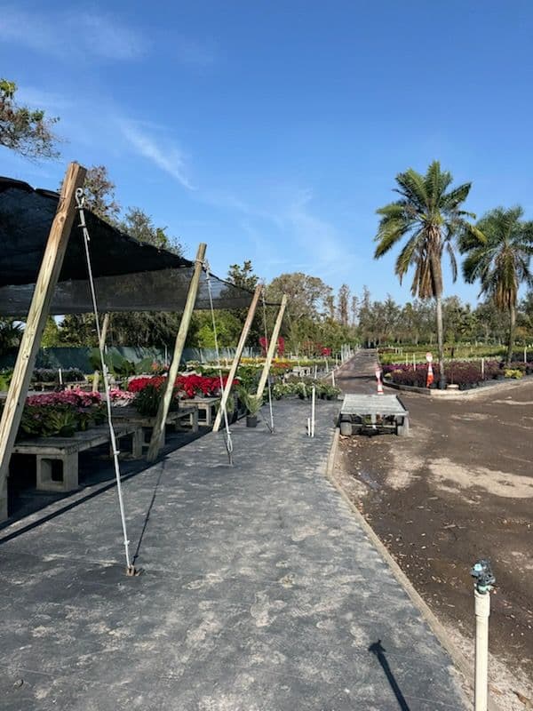 Dedicated Nursery Visit for Quality Plants