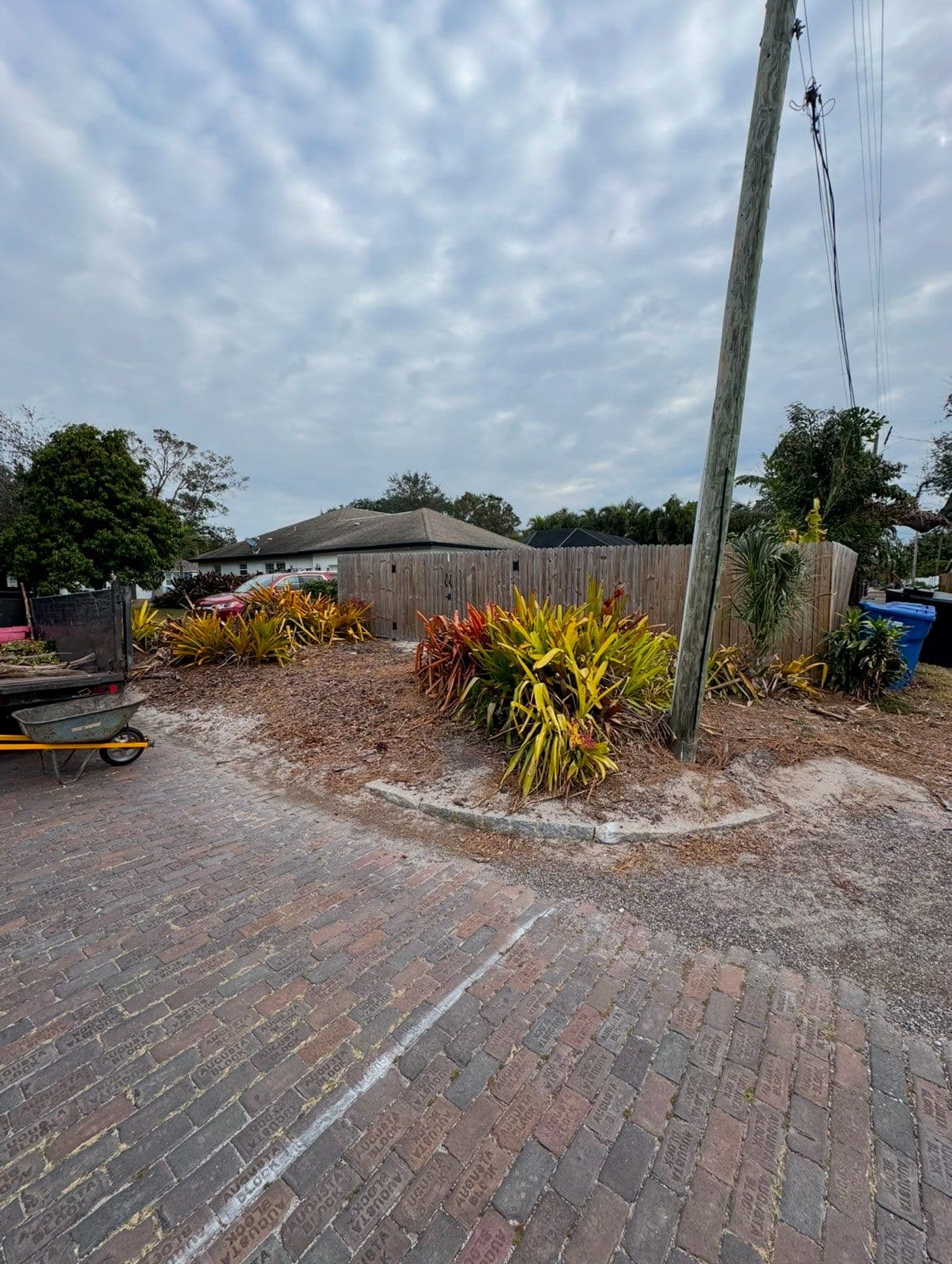 Yard Transformation with Mulch image