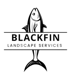 BlackFin Landscapes