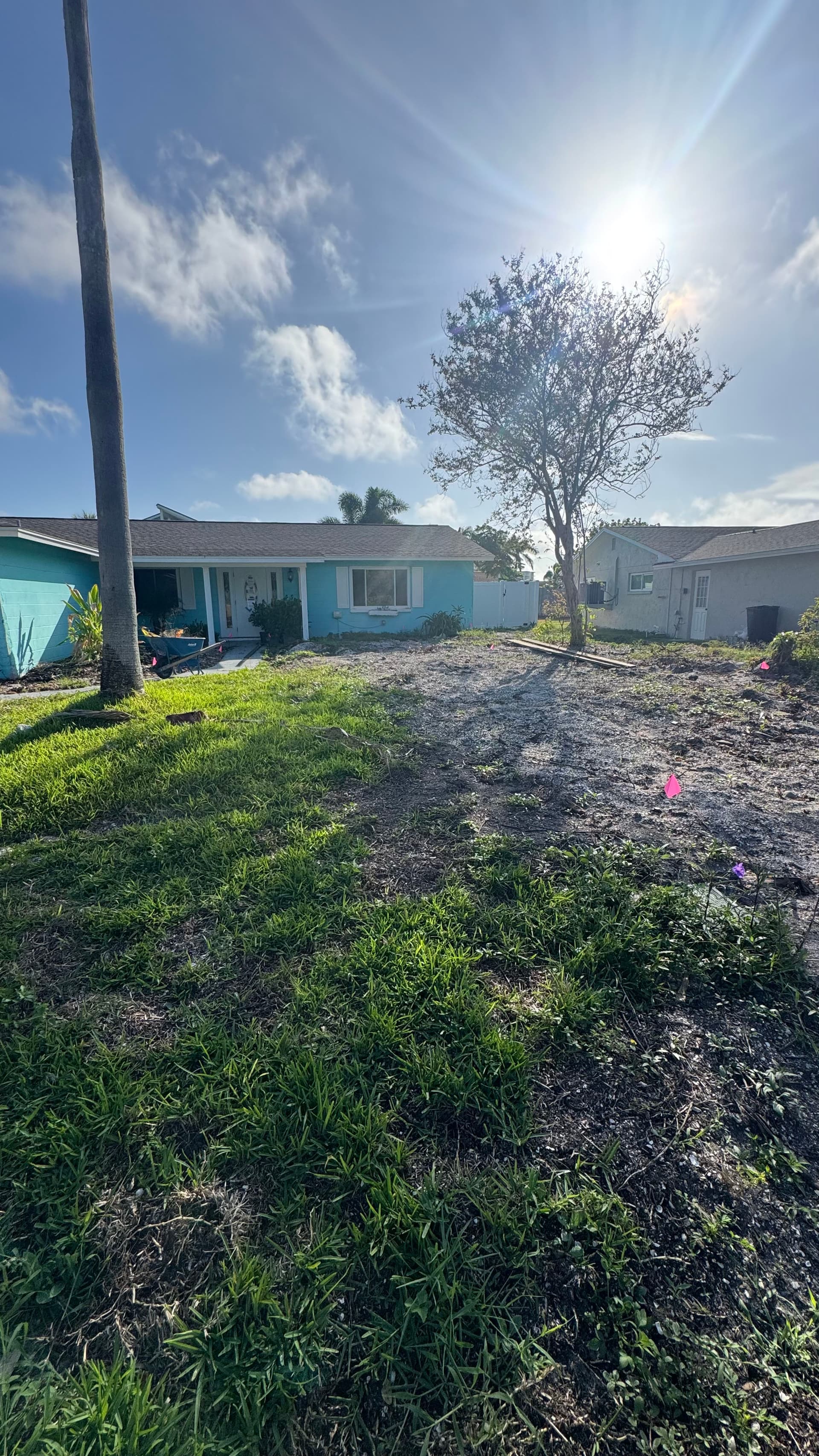 Gallery photos for Front Yard Sod Installation and Landscape Bed Refresh: Image #6
