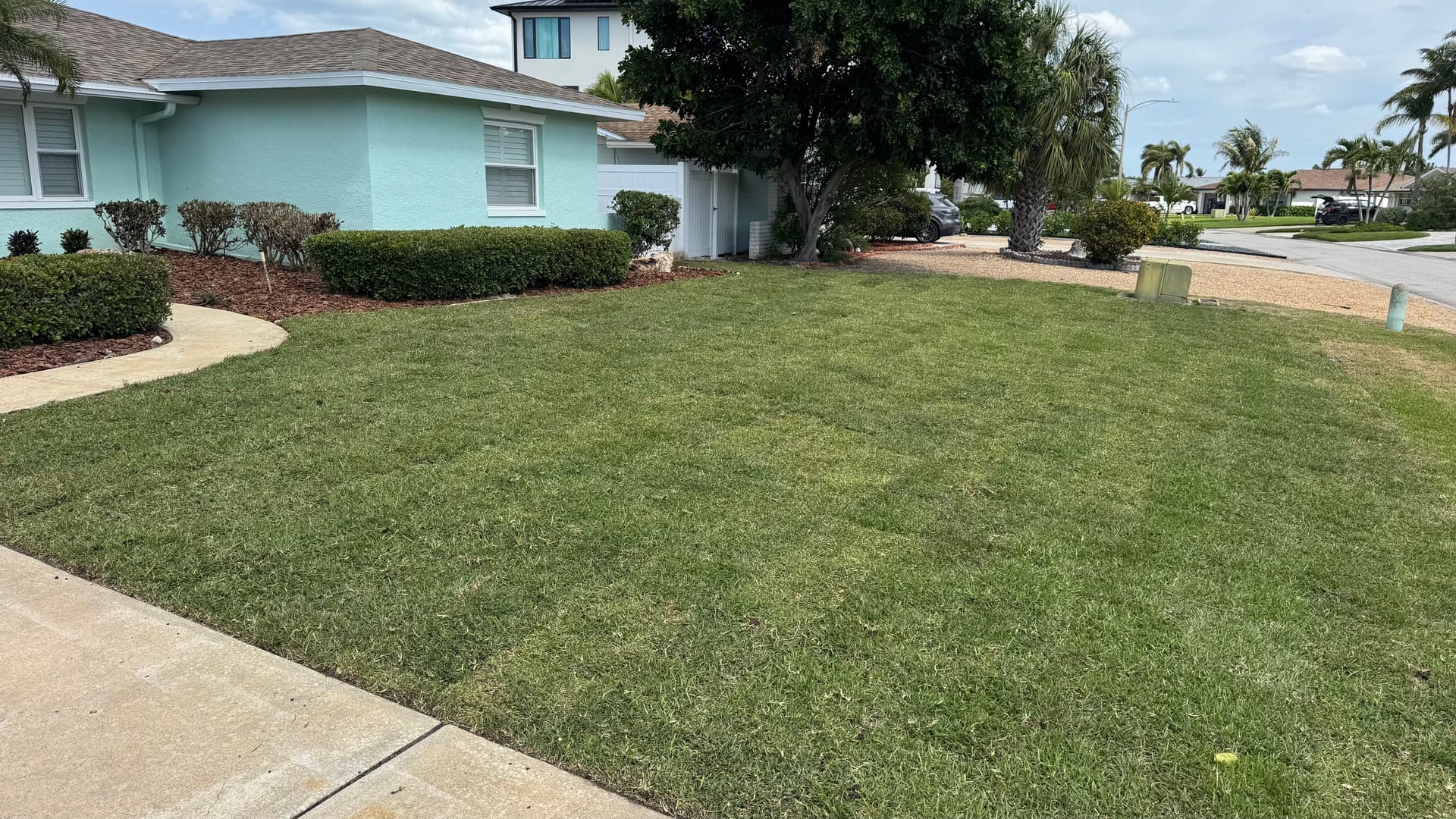 Gallery photos for Fresh Mulch, New Plants, and Sod Give This Front Yard New Life: Image #4