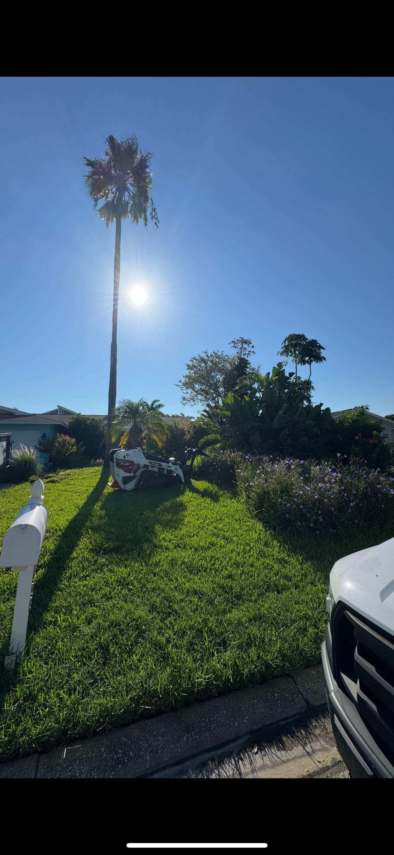 Gallery photos for Front Yard Sod Installation and Landscape Bed Refresh: Image #3