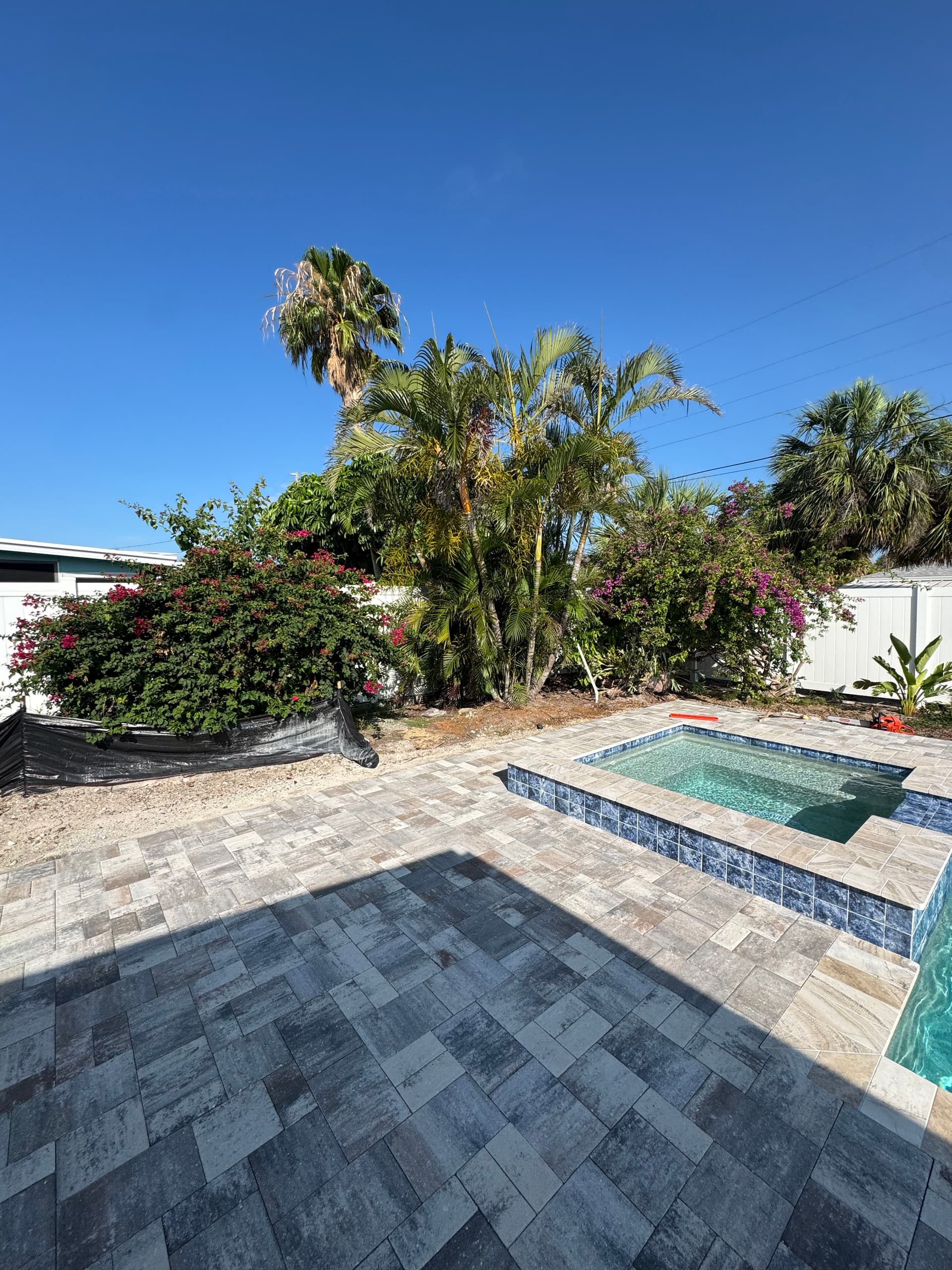 Gallery photos for Palm Trees and River Rock Finish This Pool the Right Way: Image #3