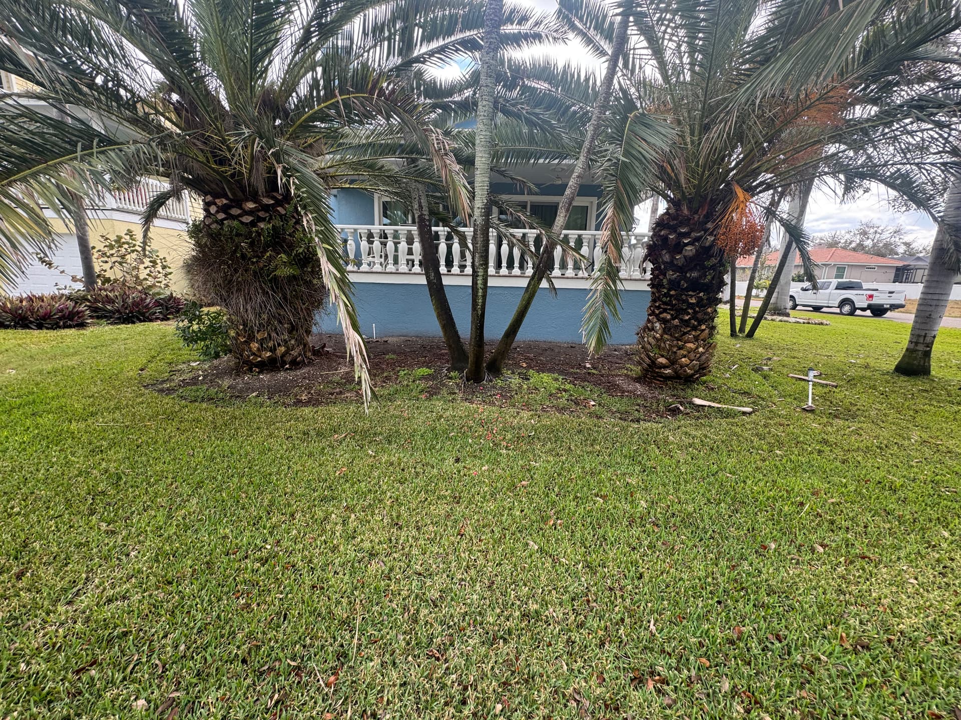 Gallery photos for Shell Rock, Flagstone, and Fresh Plantings Done Right: Image #6