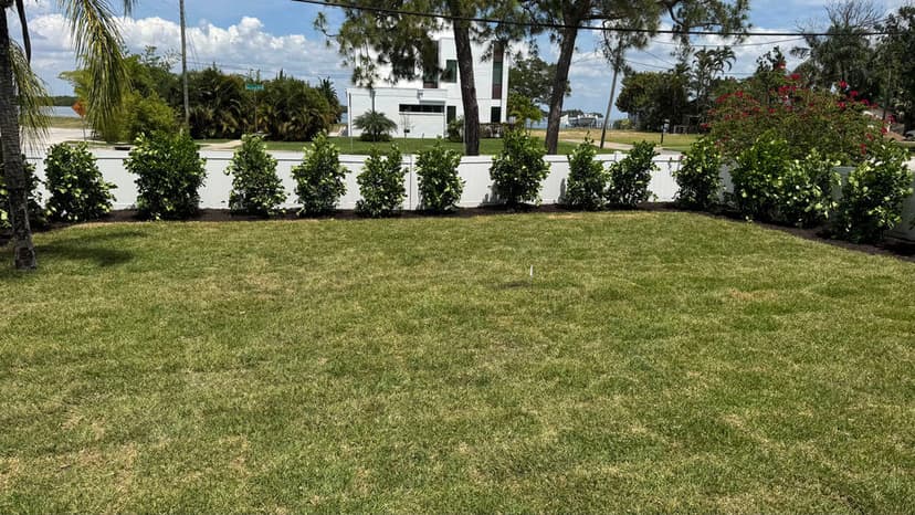 Lush green lawn with neatly trimmed hedges and flowering shrubs against a clear sky.