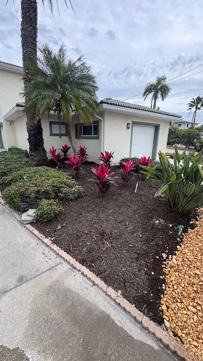 Tropical garden landscaping with vibrant pink plants and palm trees near a house.