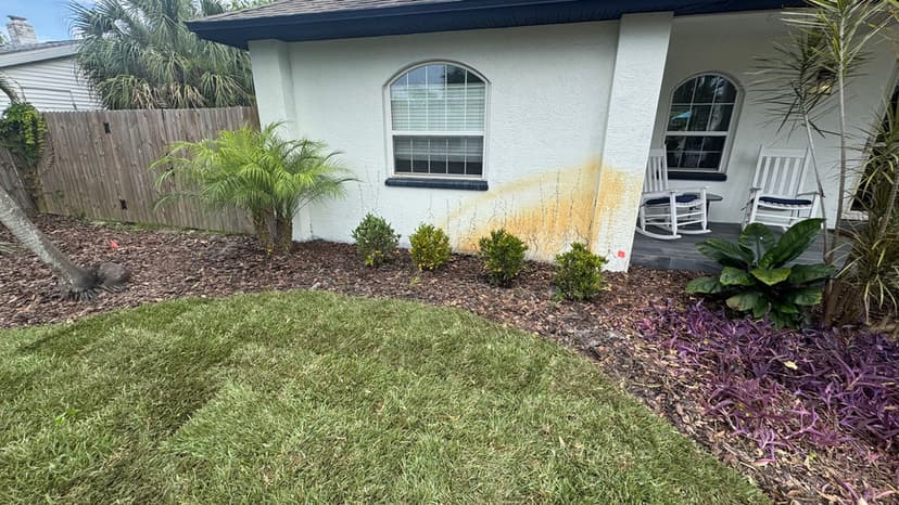 Home exterior with stains on the wall and a landscaped yard featuring grass and plants.