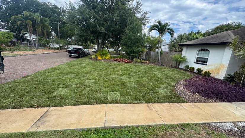 Freshly landscaped front yard with green grass, colorful plants, and a paved driveway.